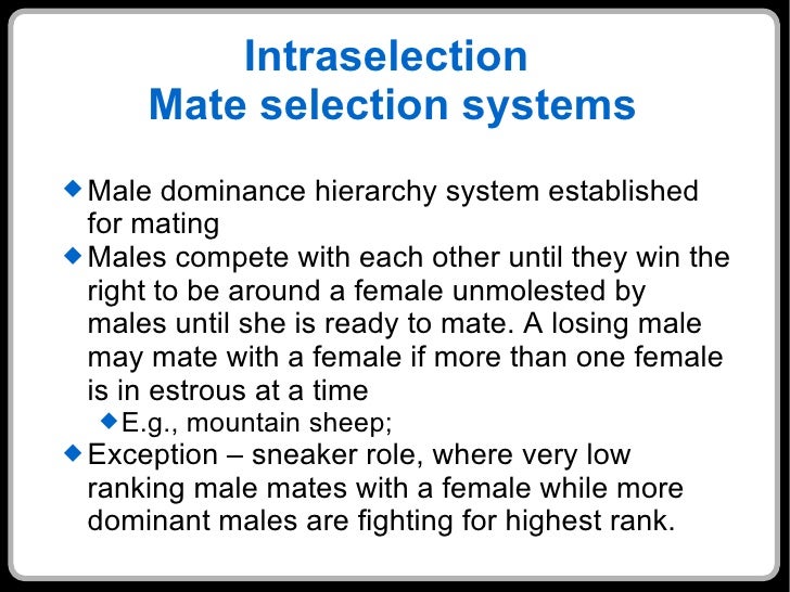 Hairy fisting mobile Sexual dominate your male mate